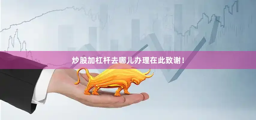 炒股加杠杆去哪儿办理在此致谢！