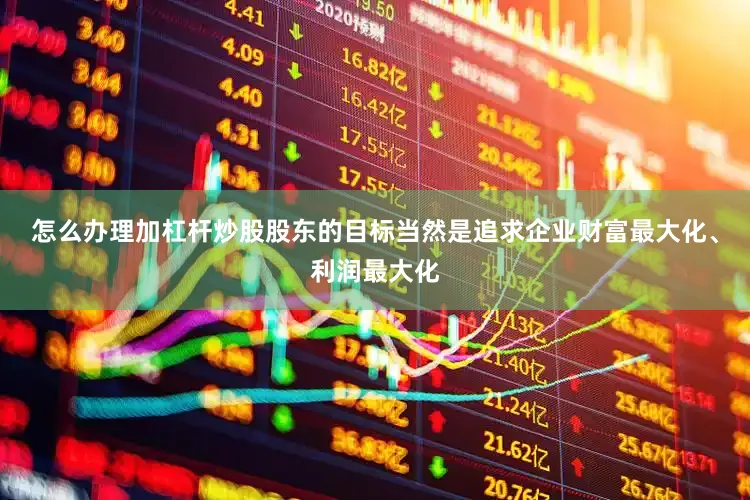 怎么办理加杠杆炒股股东的目标当然是追求企业财富最大化、利润最大化