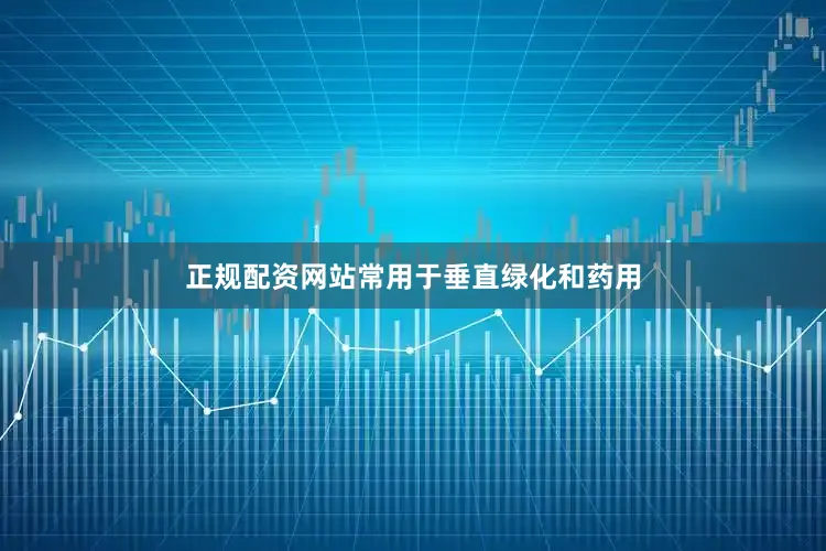 正规配资网站常用于垂直绿化和药用